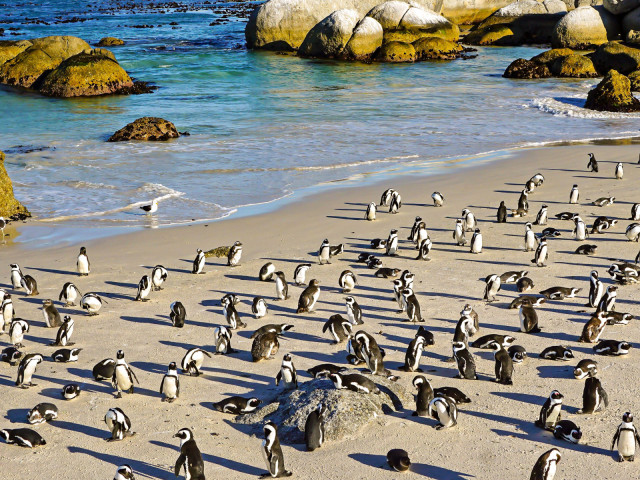 slideshow_galerie_015