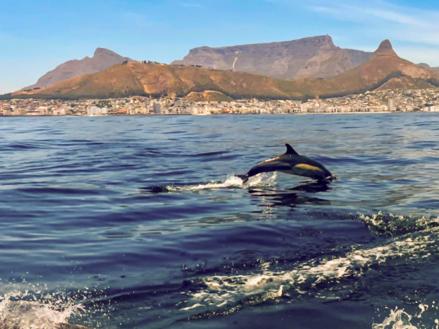 slideshow_galerie_016