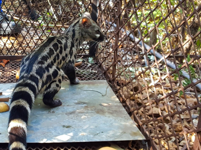 slideshow_galerie_027