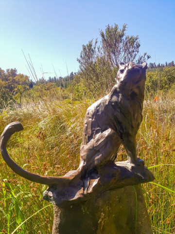 slideshow_galerie_029