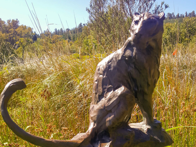 slideshow_galerie_029