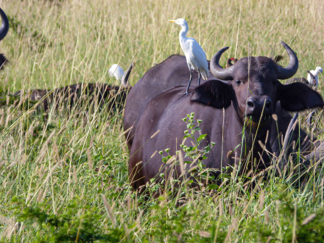 slideshow_galerie_031