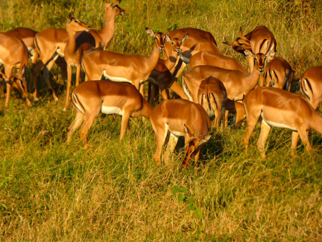 slideshow_galerie_032