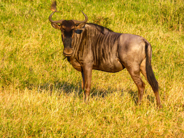 slideshow_galerie_033