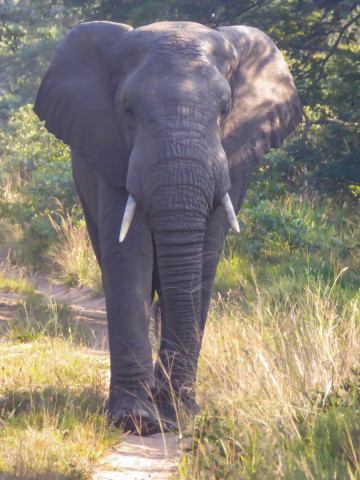 slideshow_galerie_034