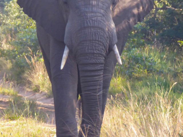 slideshow_galerie_034