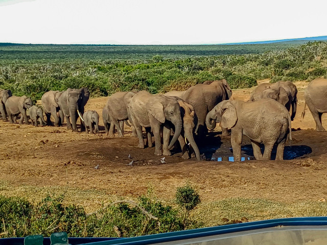 slideshow_galerie_035