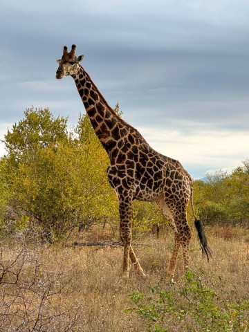 slideshow_galerie_037