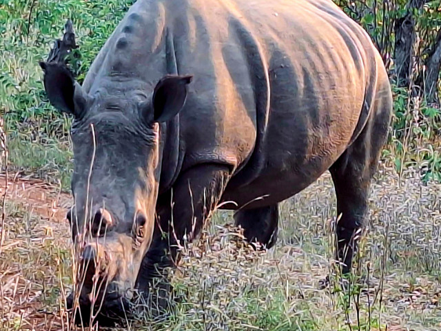 slideshow_galerie_038