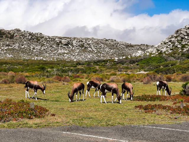 slideshow_galerie_039