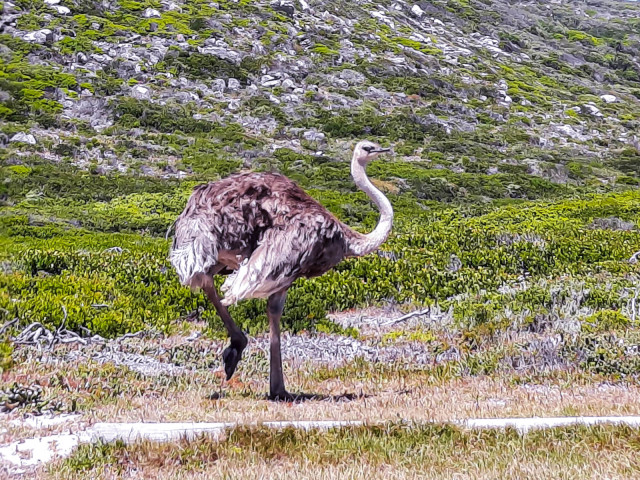 slideshow_galerie_040