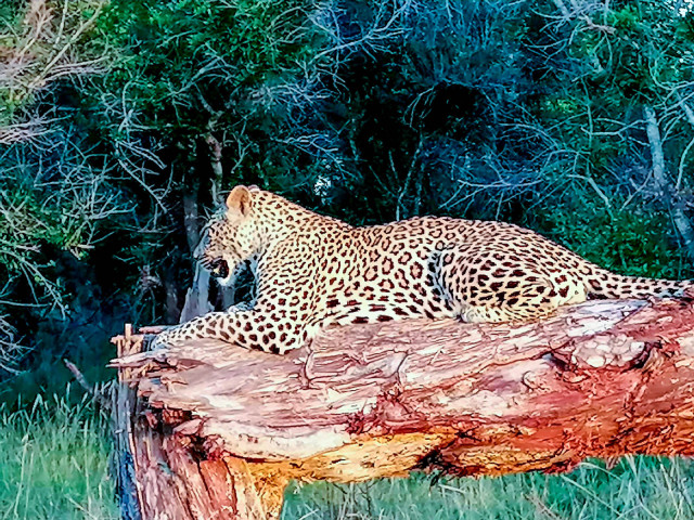 slideshow_galerie_041