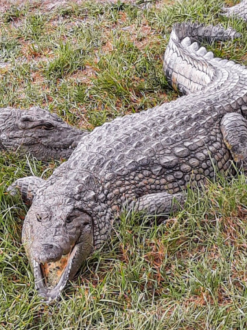 slideshow_galerie_042