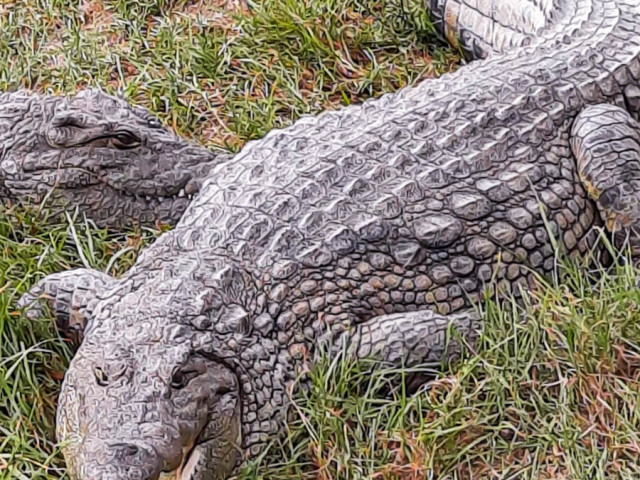 slideshow_galerie_042