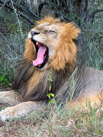 slideshow_galerie_043