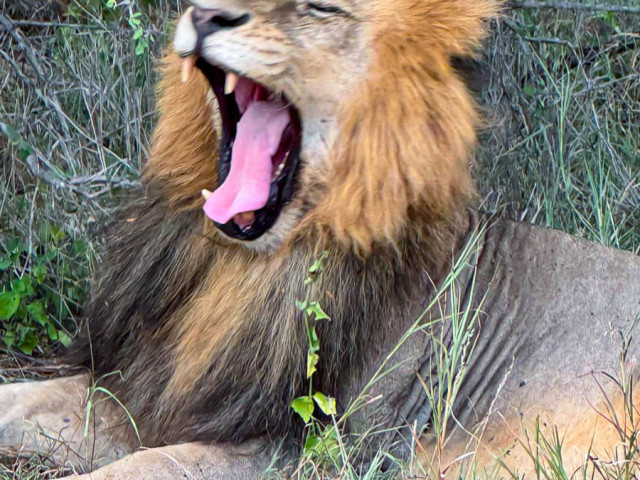 slideshow_galerie_043