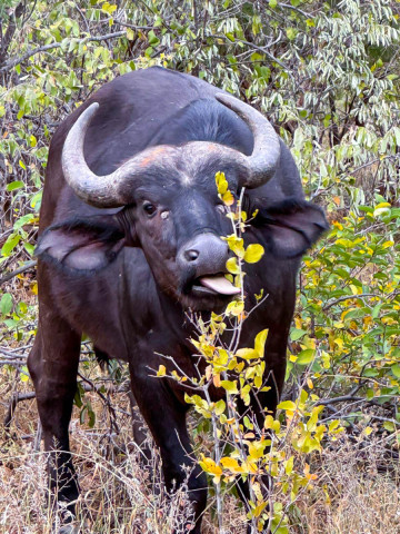 slideshow_galerie_044