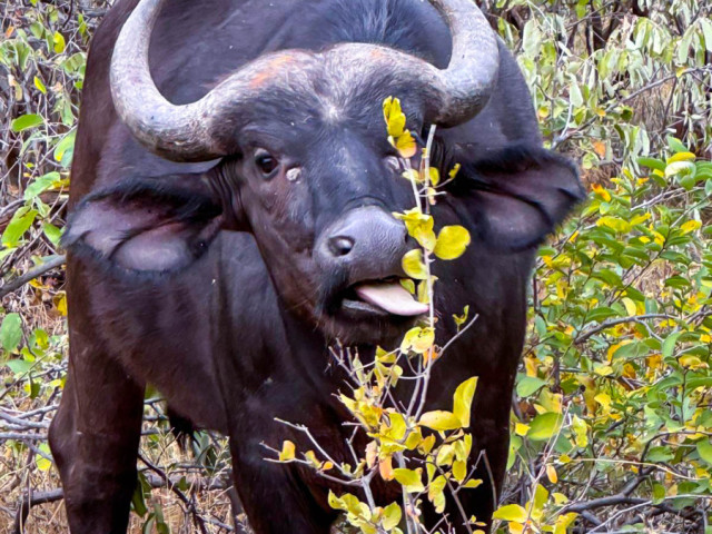 slideshow_galerie_044